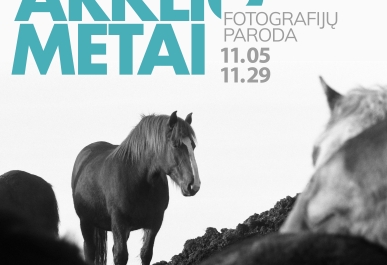 0001_arklio-metai-copy_1793089008-b58ba57d6ad5e47d12b4519f41515279.jpg